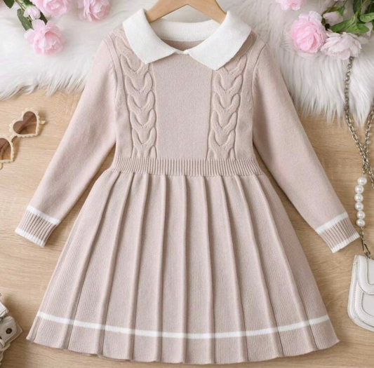 Winter Sweater Dress